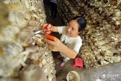 福州區(qū)縣經(jīng)濟(jì)實(shí)力新格局 黑馬崛起，食用農(nóng)產(chǎn)品零售成關(guān)鍵增長極