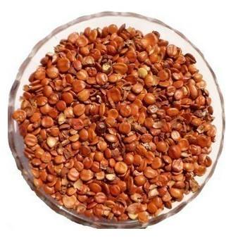 探索棗仁的多重價(jià)值 從傳統(tǒng)藥材到現(xiàn)代市場