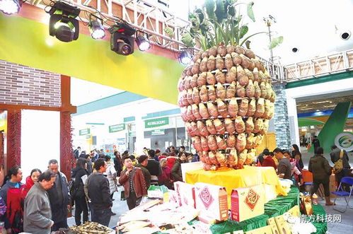 綠色生態(tài)成果綻放 三千種名特優(yōu)農(nóng)產(chǎn)品與家電銷售深度融合