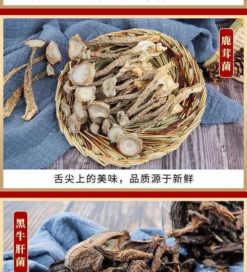鮮山叔·臻選菌菇禮盒 品味山珍，禮贈健康，開啟現(xiàn)代廚房新“食”尚